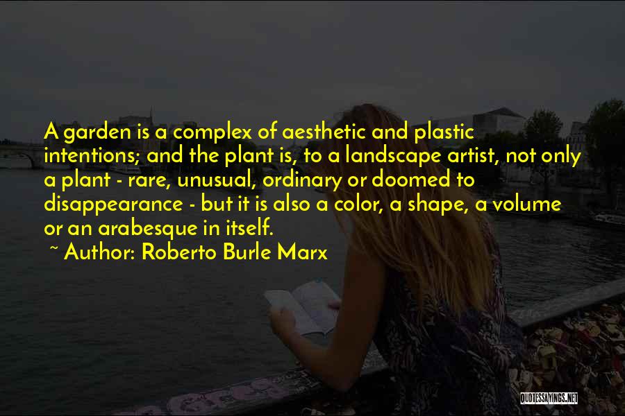 Disappearance Quotes By Roberto Burle Marx