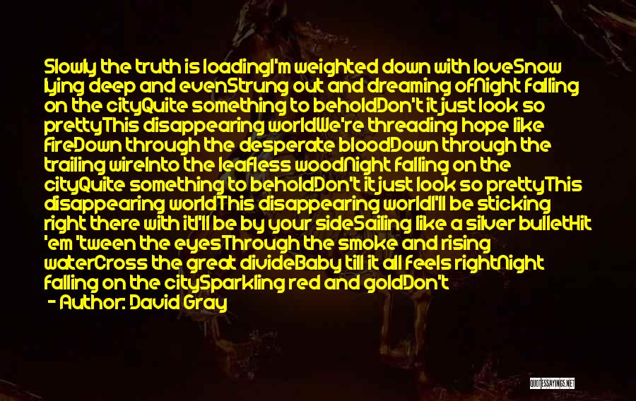 Disappearing Love Quotes By David Gray
