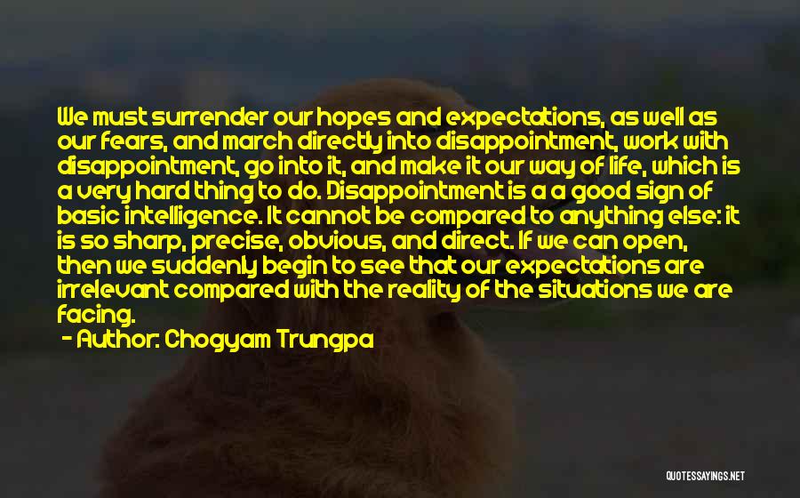 Disappointment And Expectations Quotes By Chogyam Trungpa