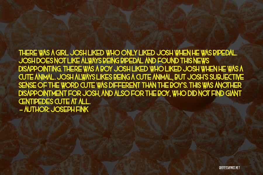 Disappointment And Love Quotes By Joseph Fink