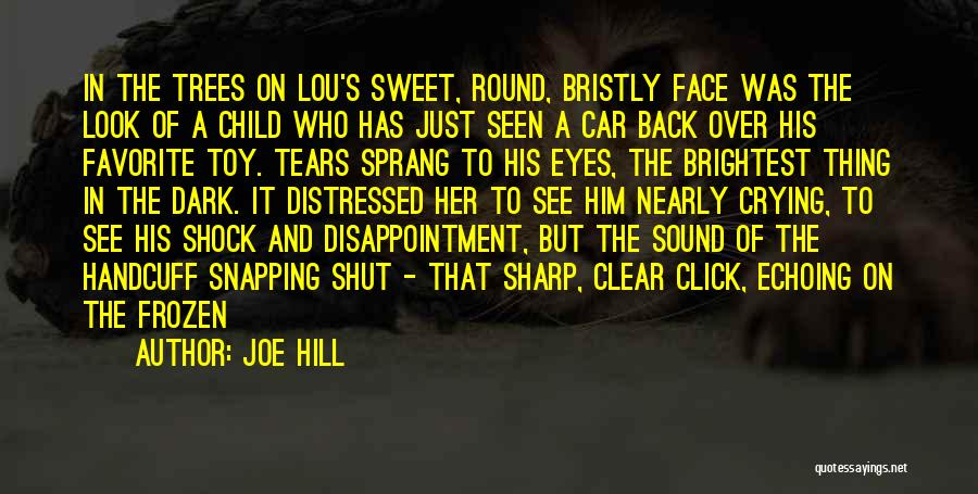 Disappointment In Him Quotes By Joe Hill