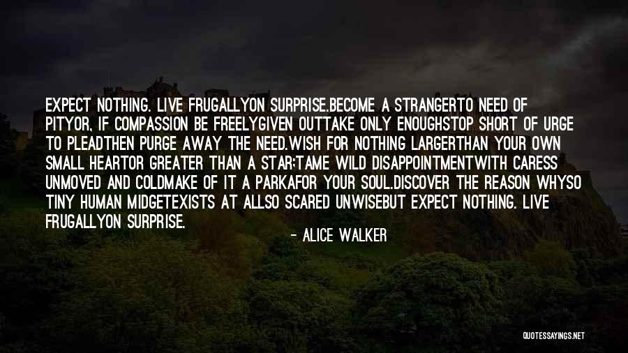 Disappointment Short Quotes By Alice Walker