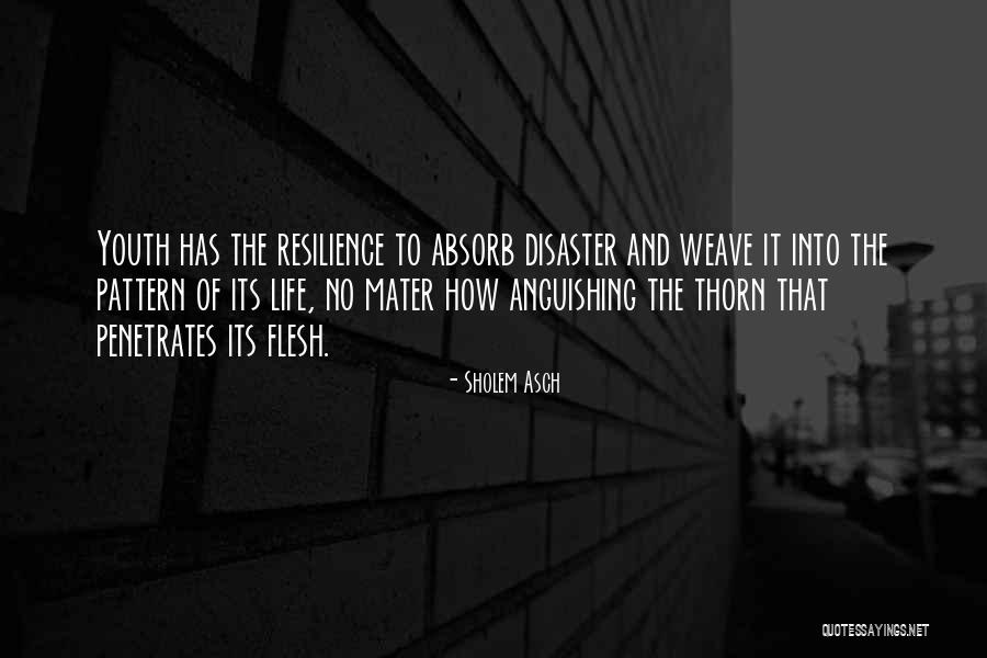 Disaster Resilience Quotes By Sholem Asch Disaster Resilience Quotes By Sholem Asch
