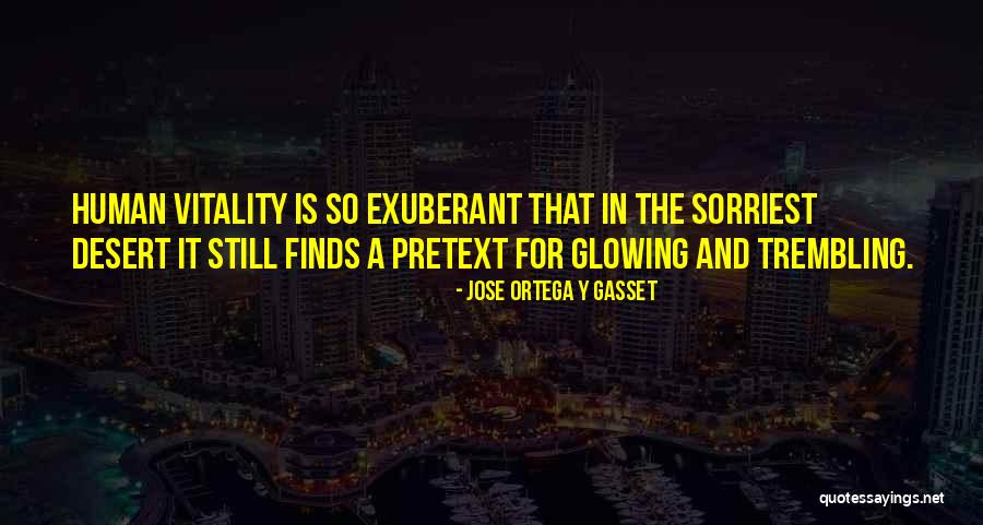 Disasterpeace It Follows Quotes By Jose Ortega Y Gasset Disasterpeace It Follows Quotes By Jose Ortega Y Gasset