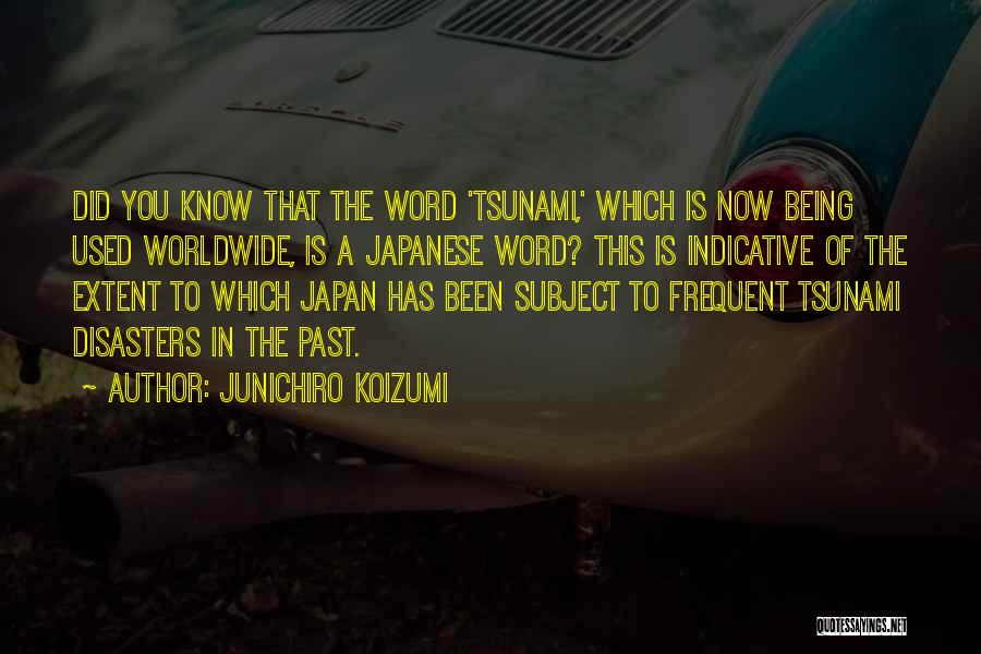 Disasters Quotes By Junichiro Koizumi