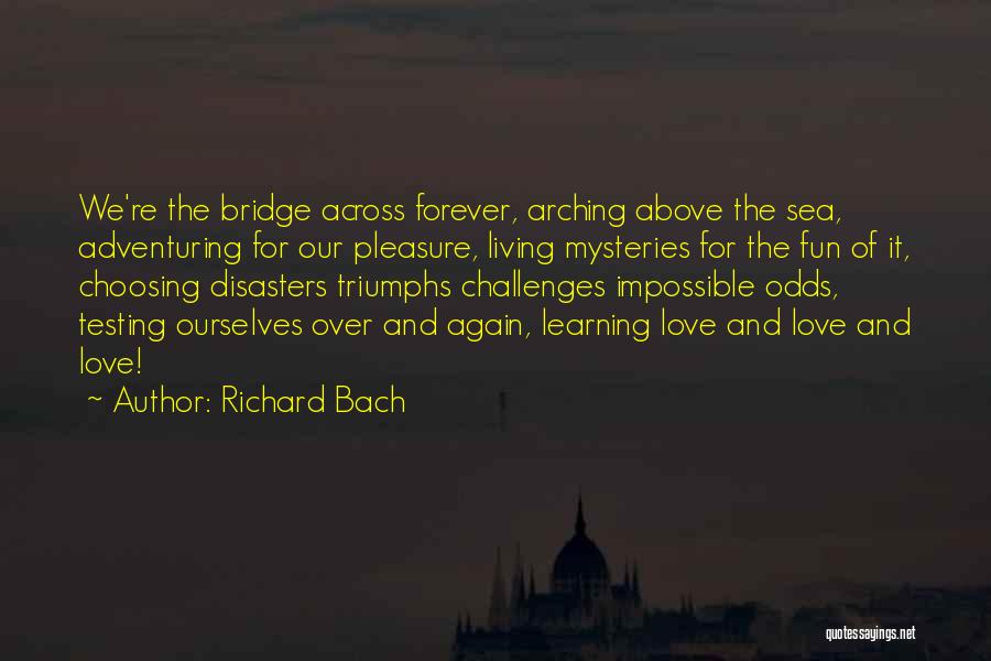 Disasters Quotes By Richard Bach