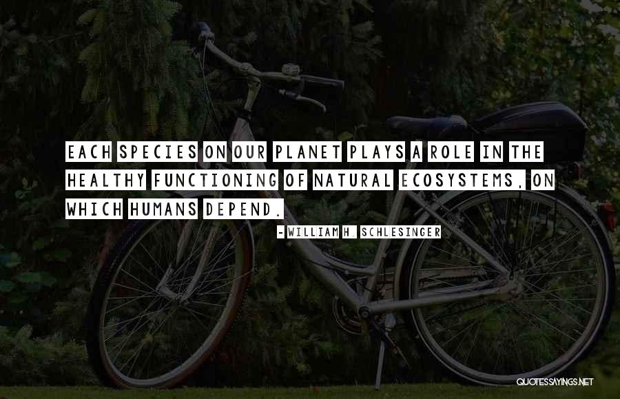 Discarding Paint Quotes By William H. Schlesinger Discarding Paint Quotes By William H. Schlesinger