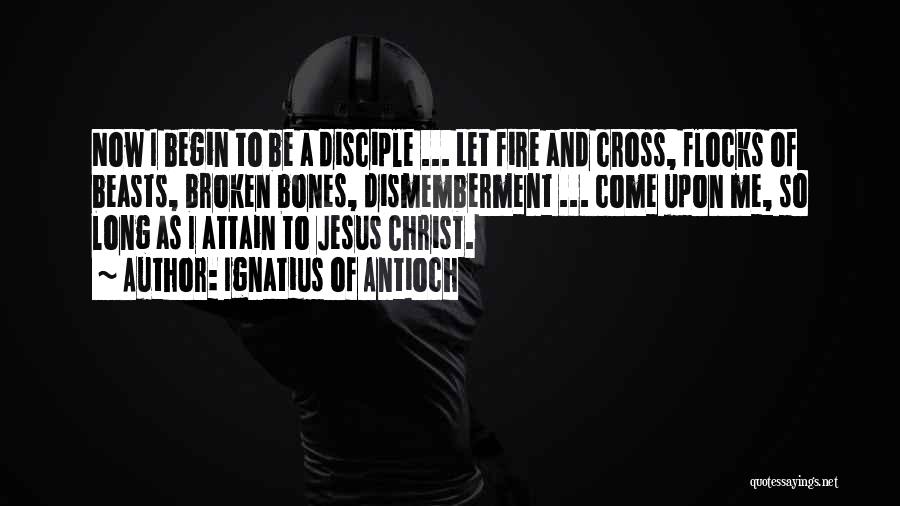 Disciple Me Quotes By Ignatius Of Antioch
