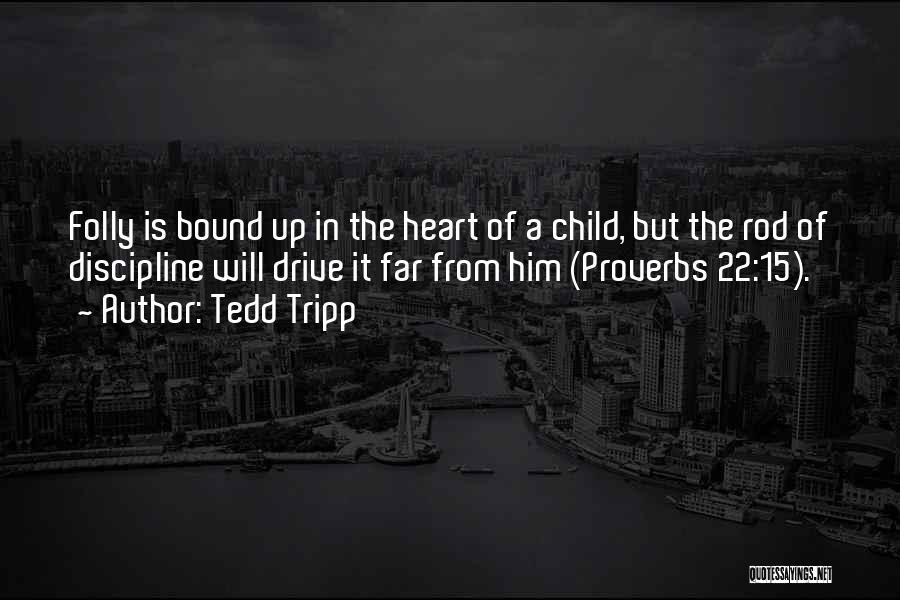 Discipline A Child Quotes By Tedd Tripp