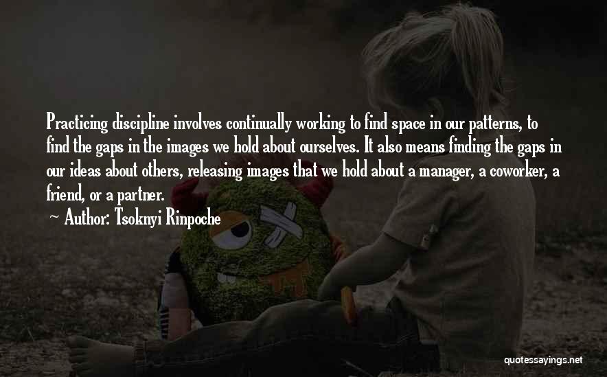 Discipline Images Quotes By Tsoknyi Rinpoche