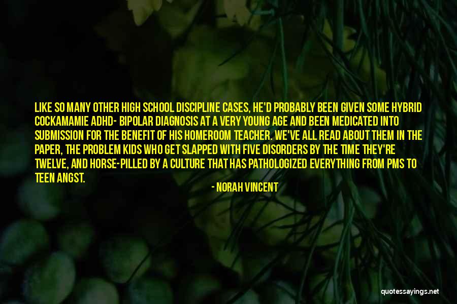 Discipline In School Quotes By Norah Vincent