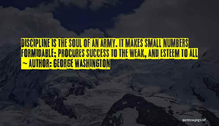 Discipline In The Army Quotes By George Washington