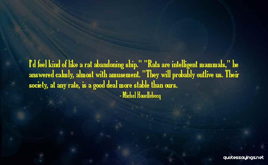 Disclosure Save Quotes By Michel Houellebecq Disclosure Save Quotes By Michel Houellebecq