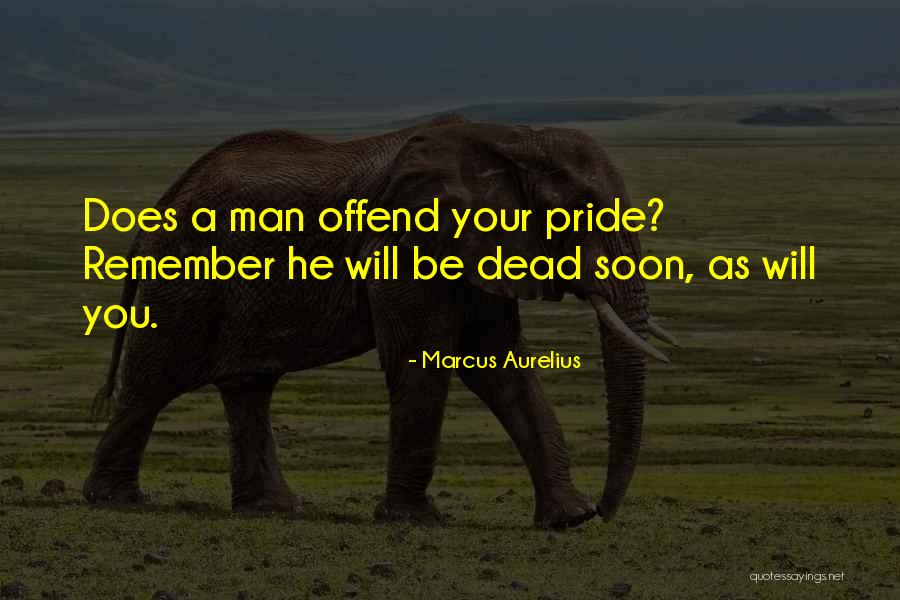 Discoideum Experiment Quotes By Marcus Aurelius Discoideum Experiment Quotes By Marcus Aurelius