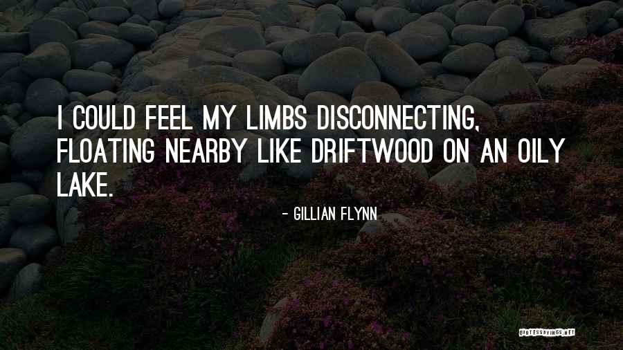 Disconnecting Quotes By Gillian Flynn Disconnecting Quotes By Gillian Flynn