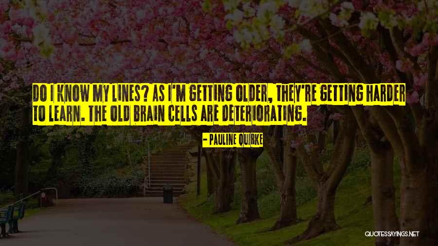 Disconnects Panels Quotes By Pauline Quirke Disconnects Panels Quotes By Pauline Quirke