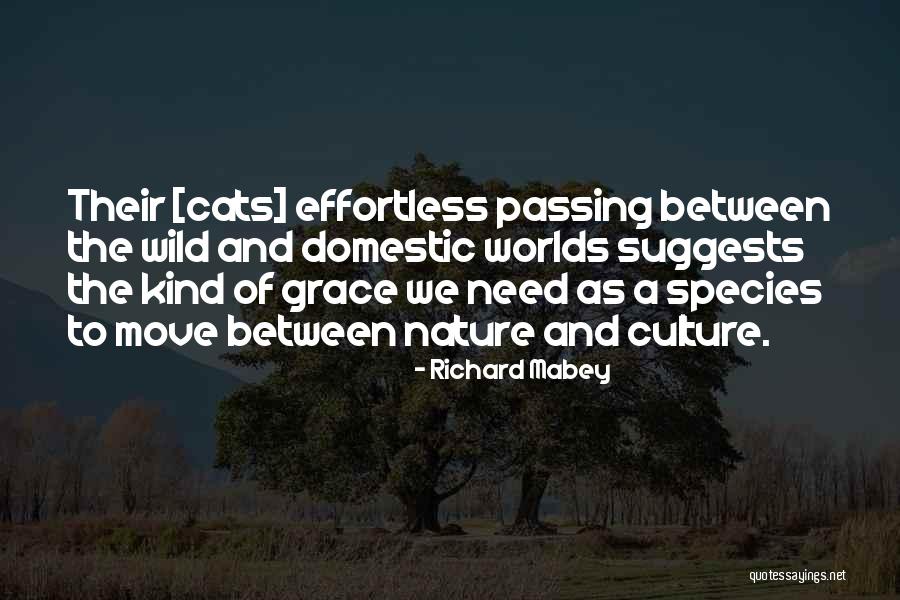 Discorsi E Quotes By Richard Mabey Discorsi E Quotes By Richard Mabey