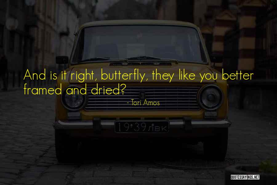 Discount Promotion Quotes By Tori Amos Discount Promotion Quotes By Tori Amos