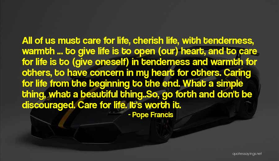 Discouraged Life Quotes By Pope Francis