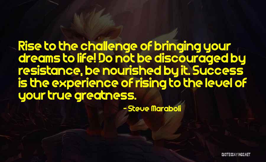 Discouraged Life Quotes By Steve Maraboli