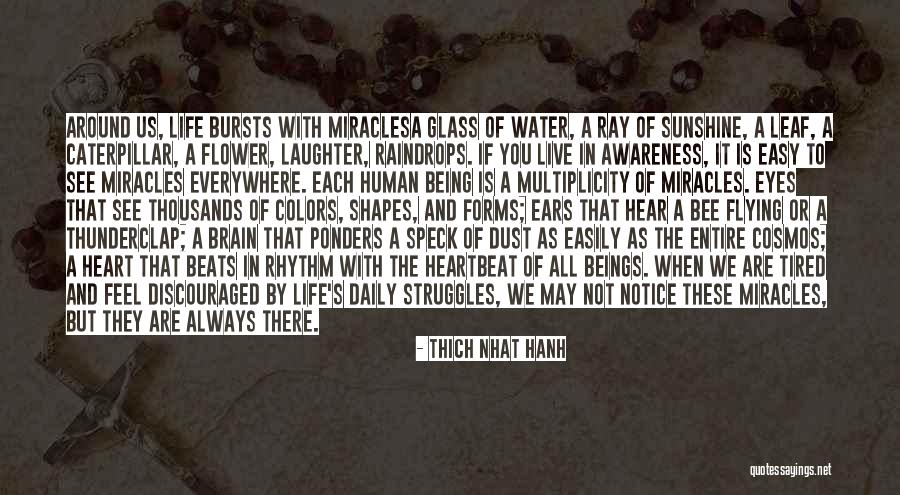 Discouraged Life Quotes By Thich Nhat Hanh