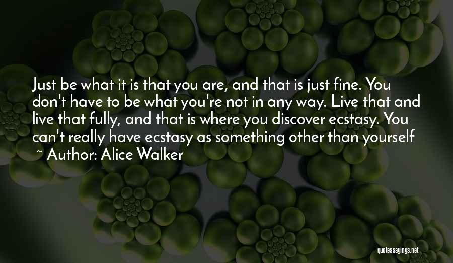 Discover Yourself Quotes By Alice Walker