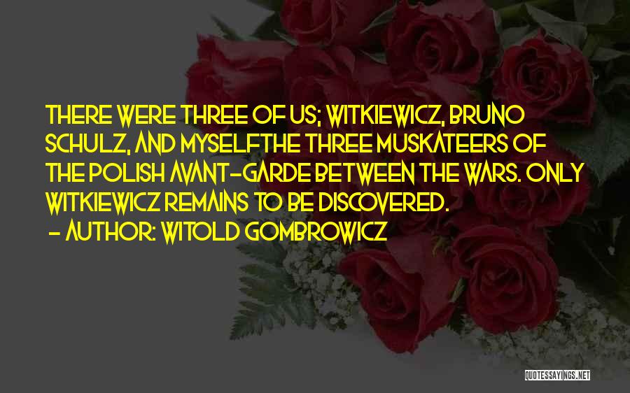 Discovered Myself Quotes By Witold Gombrowicz