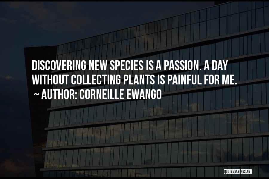 Discovering Passion Quotes By Corneille Ewango