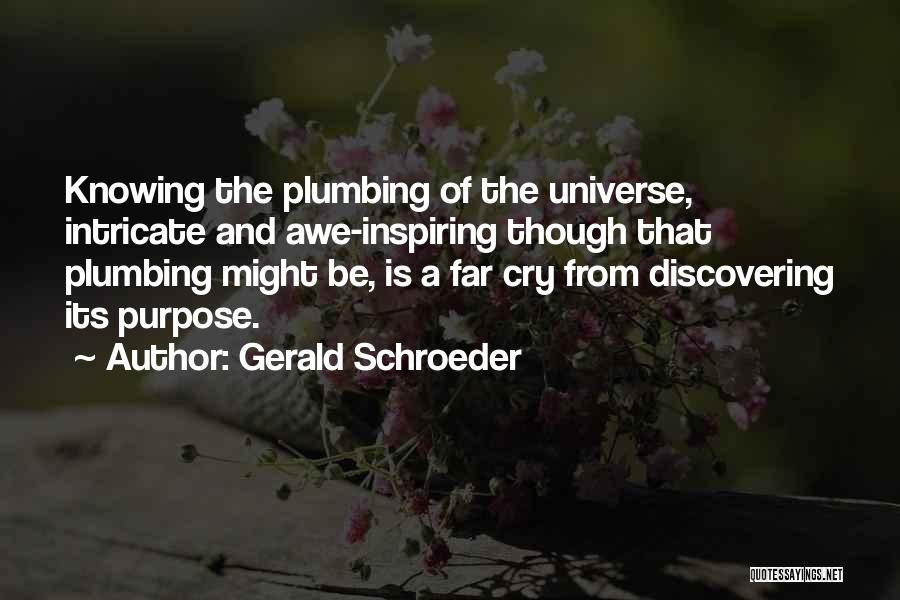 Discovering Purpose Quotes By Gerald Schroeder