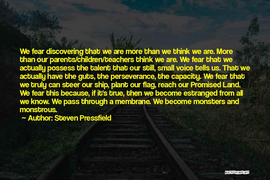 Discovering Your True Self Quotes By Steven Pressfield