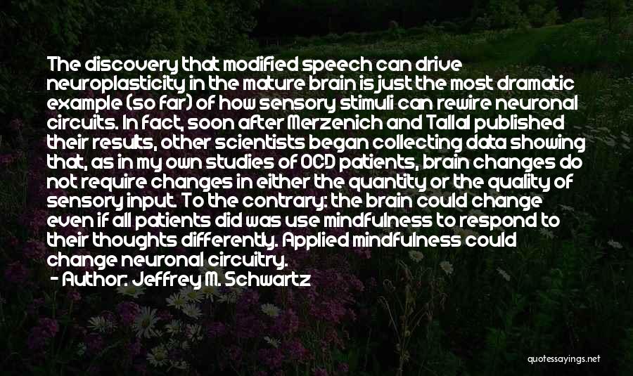 Discovery And Change Quotes By Jeffrey M. Schwartz