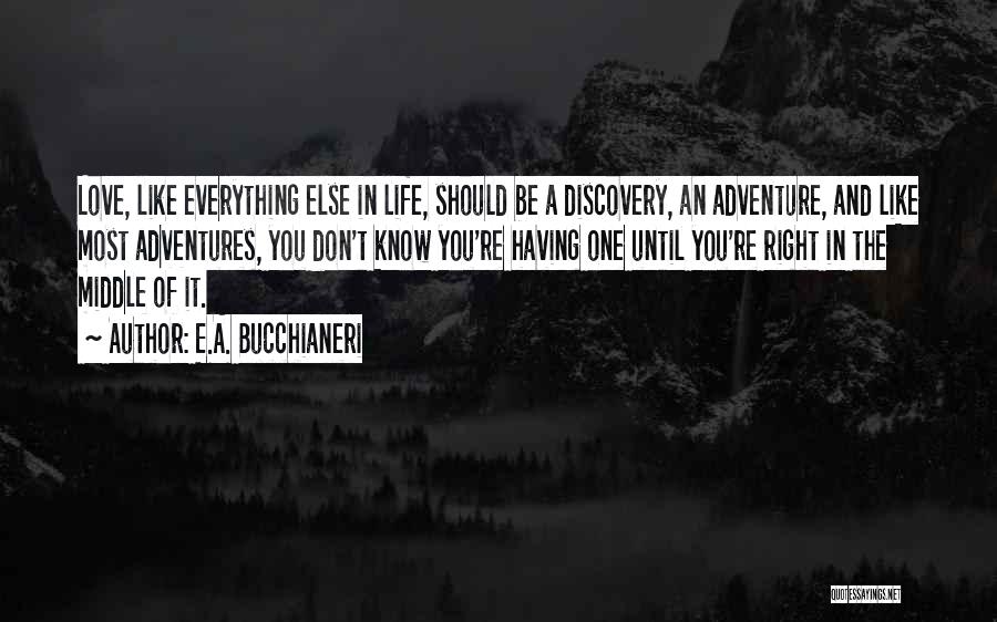 Discovery In Life Quotes By E.A. Bucchianeri