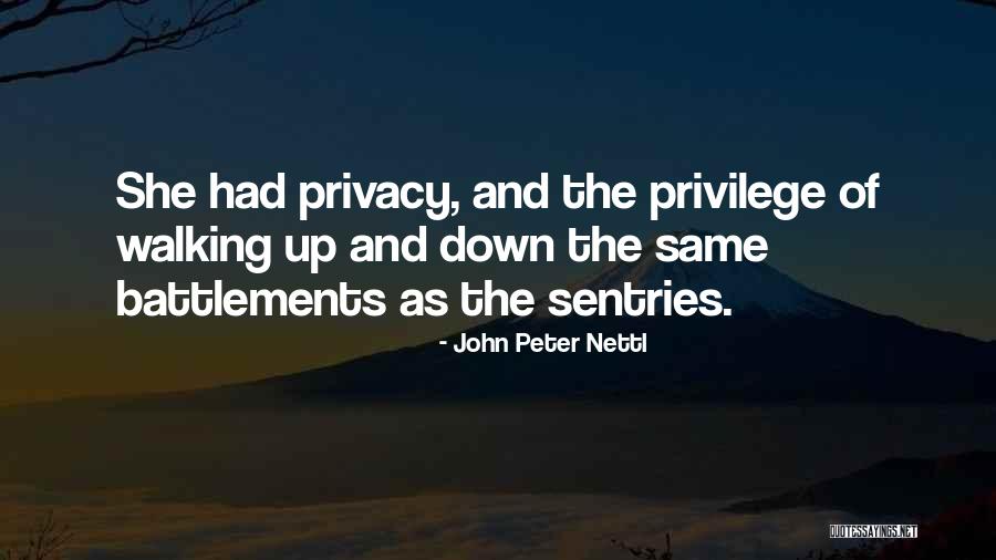 Discredits Underhandedly Quotes By John Peter Nettl Discredits Underhandedly Quotes By John Peter Nettl