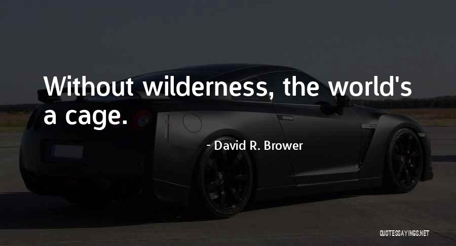 Discrete Missing You Quotes By David R. Brower Discrete Missing You Quotes By David R. Brower