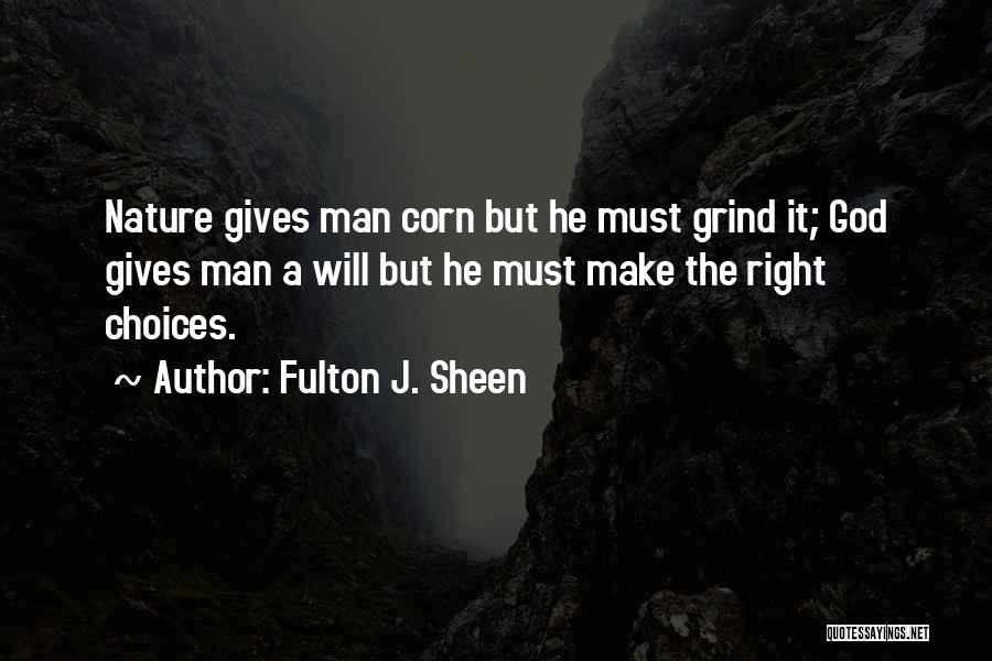 Discrimination And Power Quotes By Fulton J. Sheen