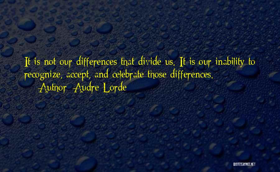 Discrimination And Prejudice Quotes By Audre Lorde