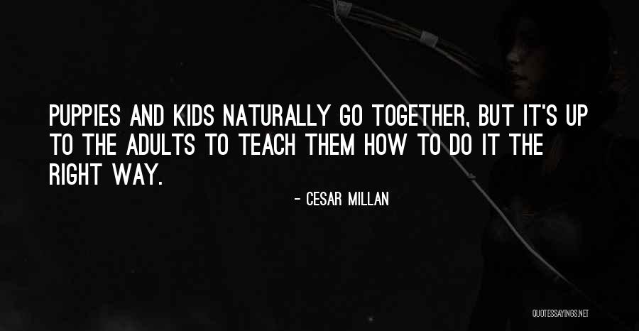 Discrimination Employment Laws Quotes By Cesar Millan Discrimination Employment Laws Quotes By Cesar Millan