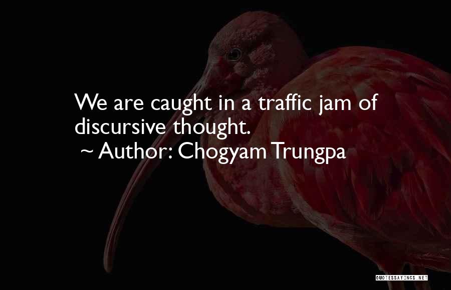 Discursive Quotes By Chogyam Trungpa