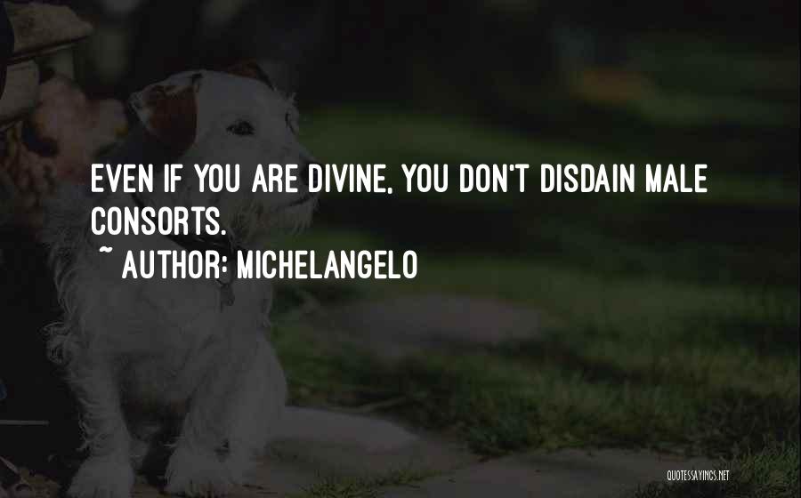 Disdain Quotes By Michelangelo