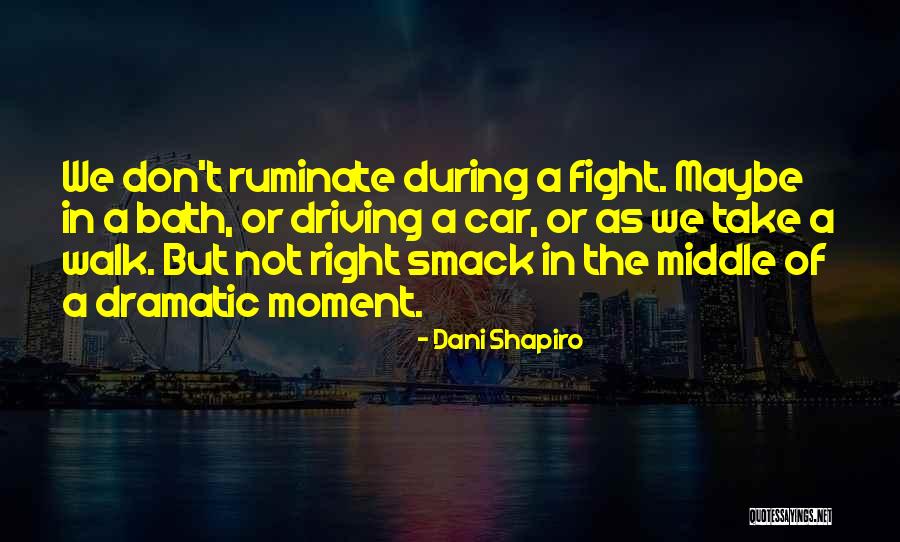 Disdaining Fortune Quotes By Dani Shapiro Disdaining Fortune Quotes By Dani Shapiro