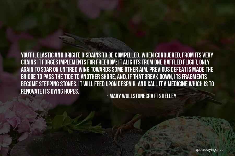 Disdains Quotes By Mary Wollstonecraft Shelley Disdains Quotes By Mary Wollstonecraft Shelley