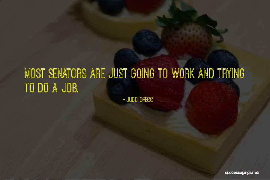 Dise Ador De Interiores Quotes By Judd Gregg