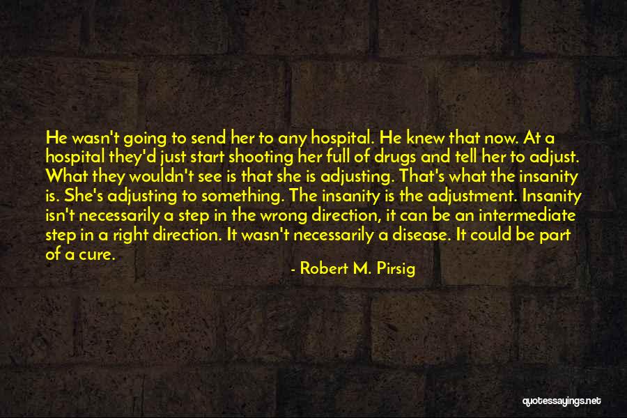 Disease Cure Quotes By Robert M. Pirsig Disease Cure Quotes By Robert M. Pirsig