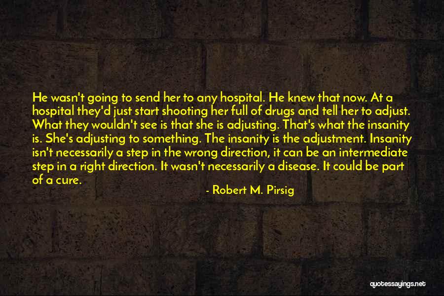 Disease Cure Quotes By Robert M. Pirsig