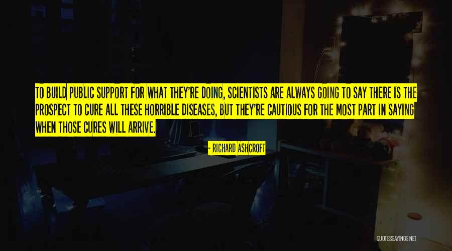 Diseases And Cures Quotes By Richard Ashcroft