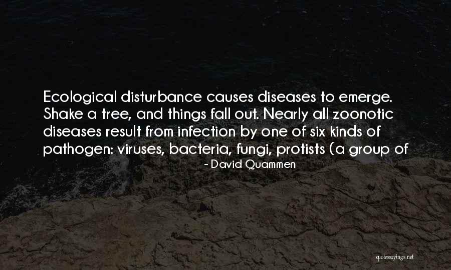 Diseases Quotes By David Quammen