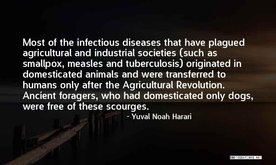 Diseases Quotes By Yuval Noah Harari