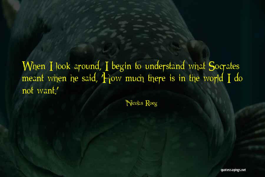 Disegni Disney Quotes By Nicolas Roeg Disegni Disney Quotes By Nicolas Roeg
