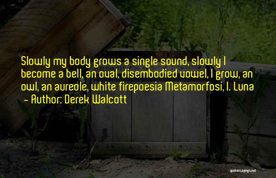 Disembodied Quotes By Derek Walcott