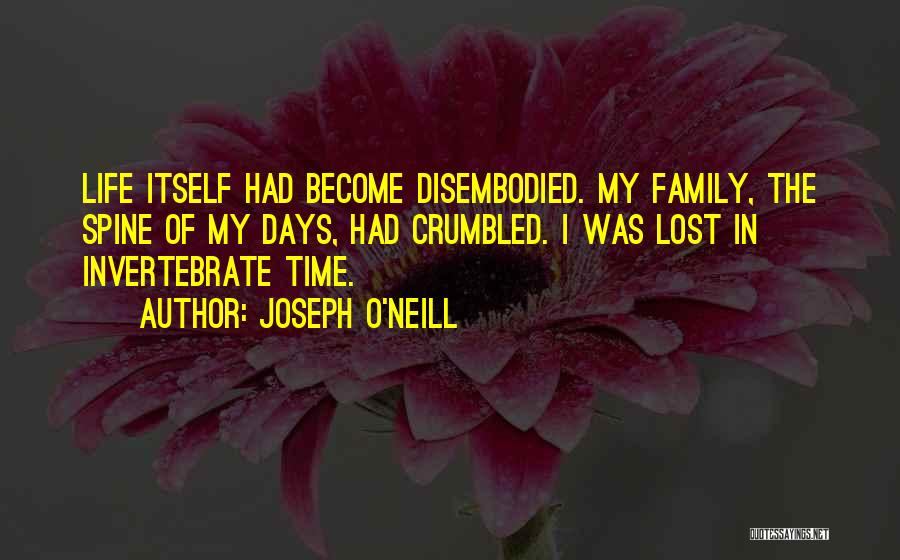 Disembodied Quotes By Joseph O'Neill